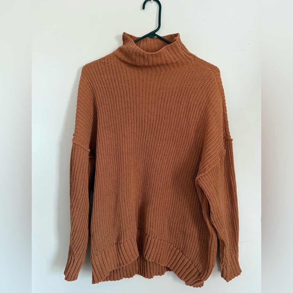 Aerie Chunky Turtleneck Sweater